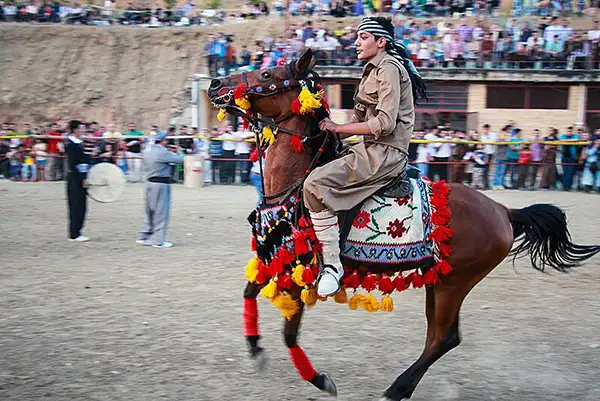 اسب سواری بومی در کردستان 