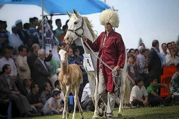 یک شرکت کننده با لباس ترکمن در جشنواره اسب ترکمن 